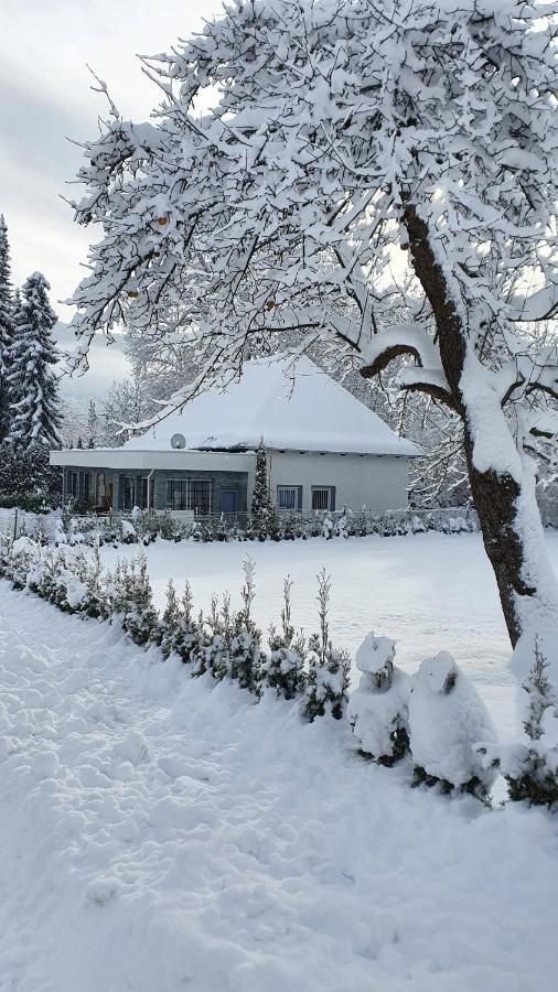 Bambu Lodge @ Ossiachersee Bodensdorf Luaran gambar